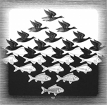 Foto bij Maurits Escher