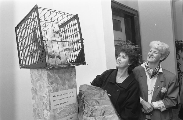 Foto van Yvonne Keuls