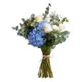 Alle, bloem 29